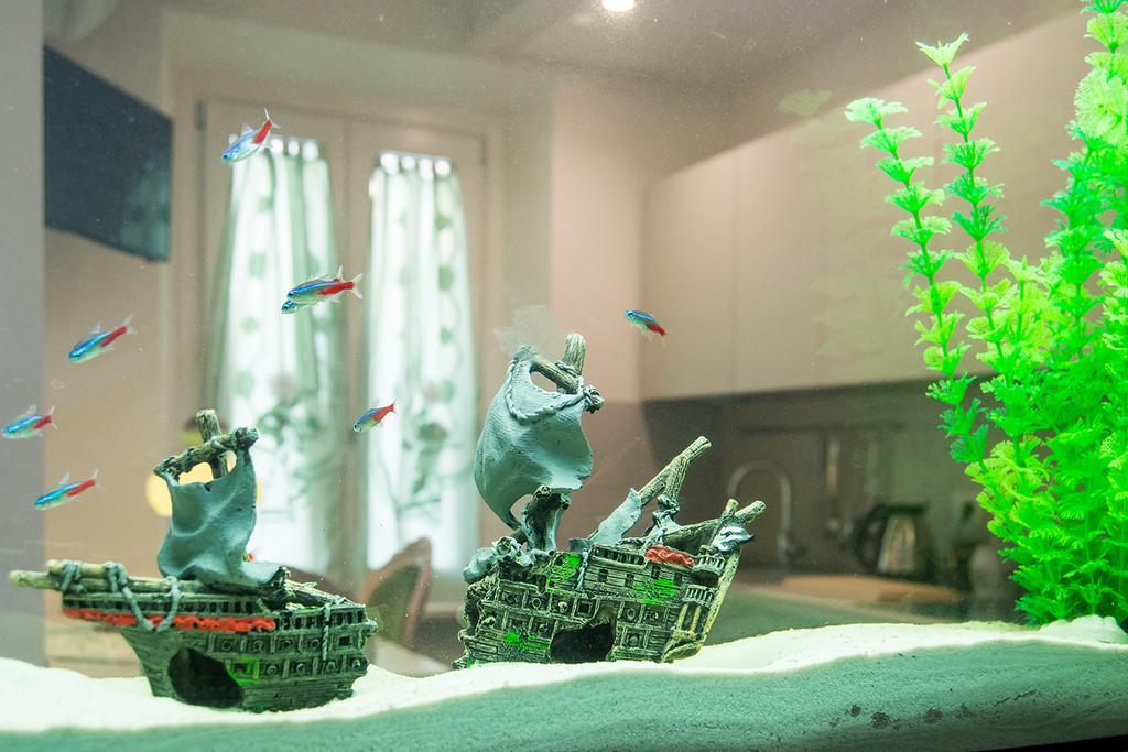 Il Giglio Verde ปอร์โต ซันเตลปีดิโอ ภายนอก รูปภาพ